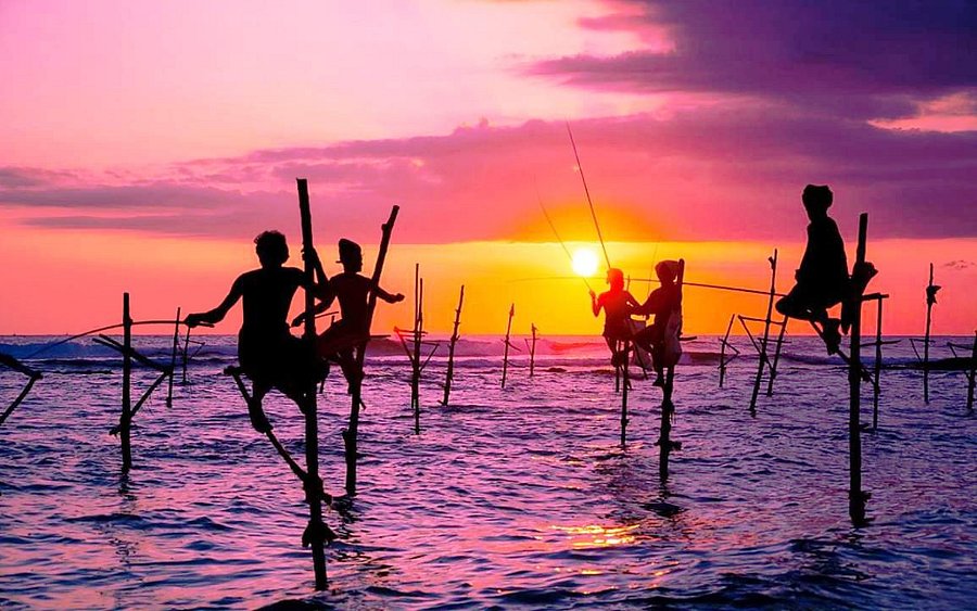 Fishing Experience
